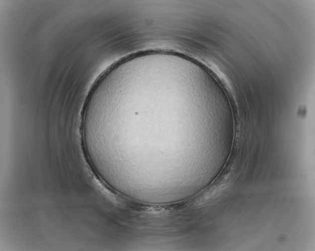 X0000097650799200803142108