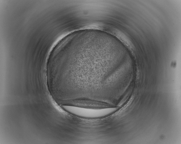 X0000097650800200803142108