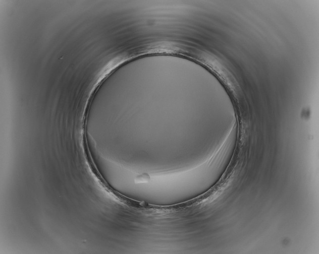 X0000097650802200803142108