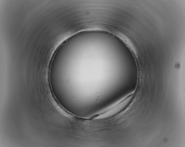 X0000097650805200803142108