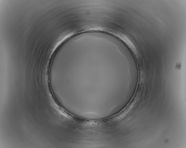 X0000097650806200803142108