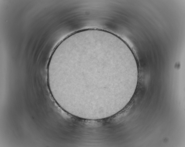 X0000097650807200803142108