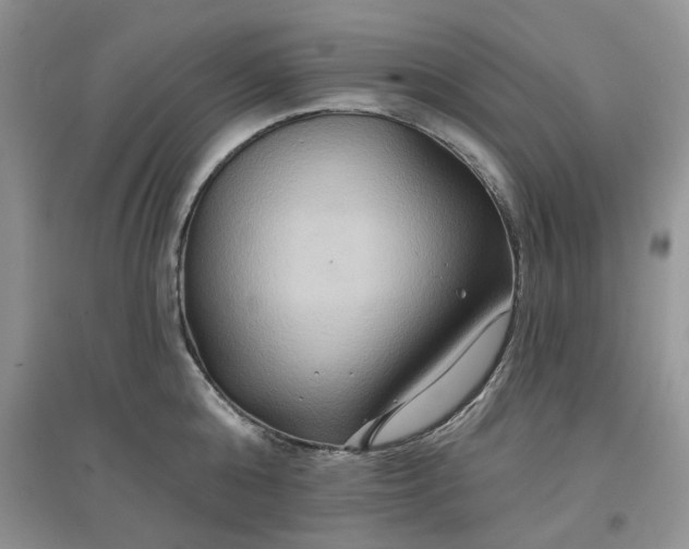 X0000097650808200803142108