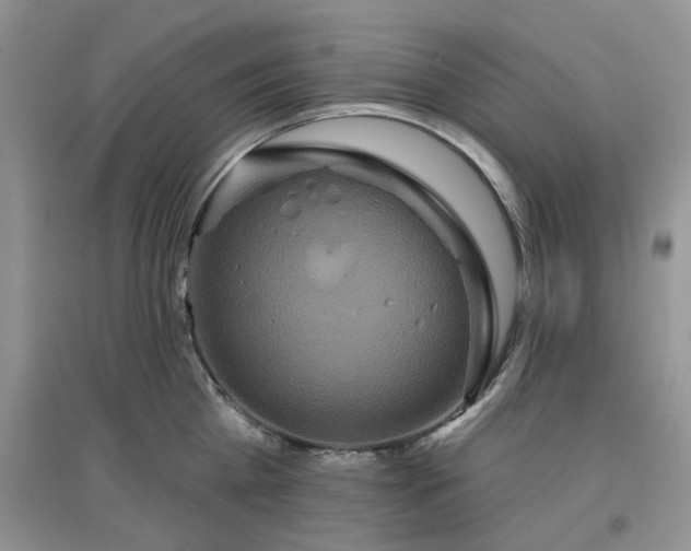 X0000097650809200803142108