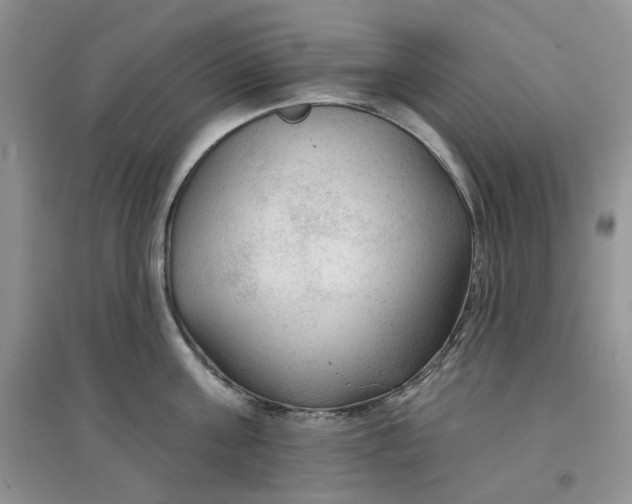 X0000097650811200803142108