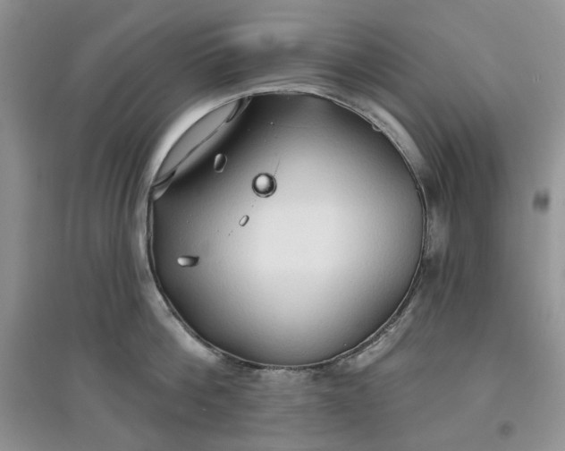 X0000097650812200803142108