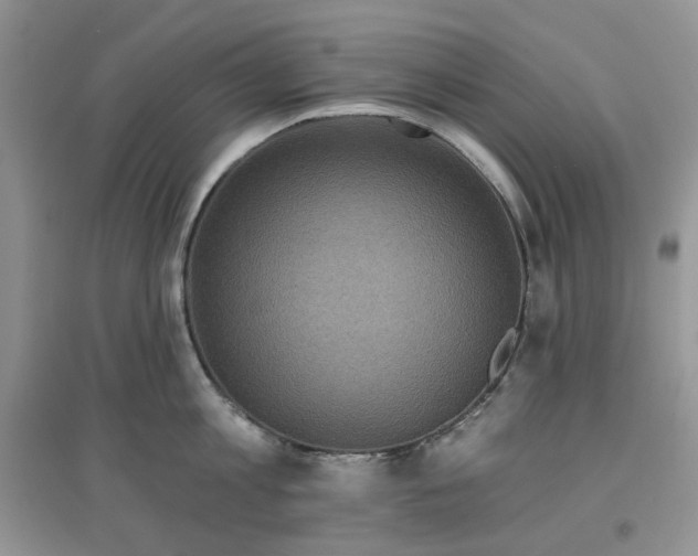 X0000097650813200803142108