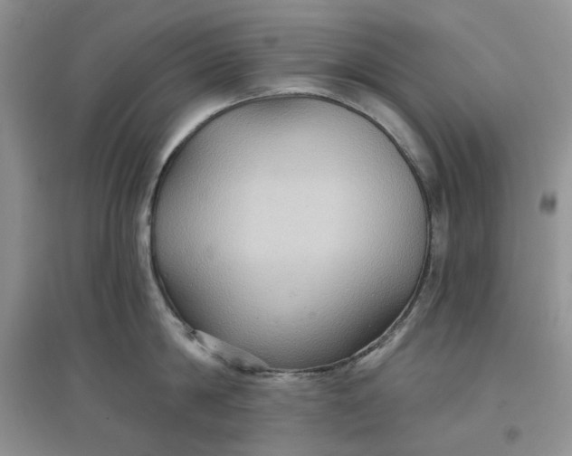 X0000097650814200803142108