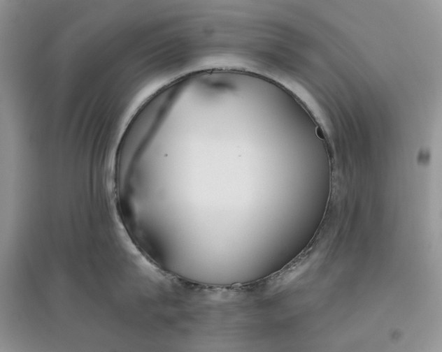 X0000097650815200803142108