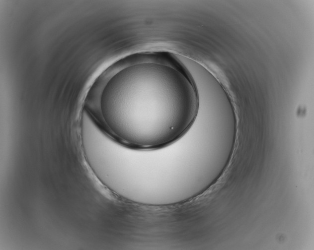 X0000097650816200803142108