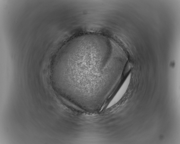 X0000097650817200803142108