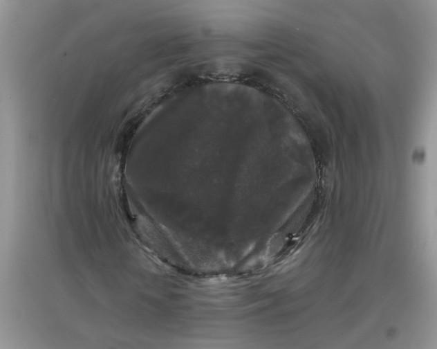 X0000097650818200803142108