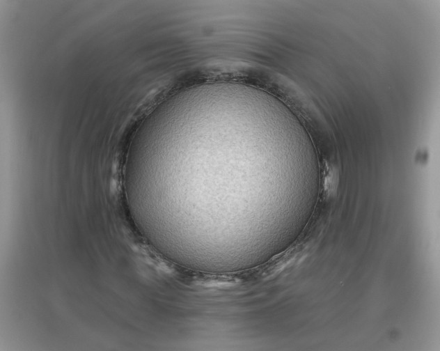 X0000097650819200803142108