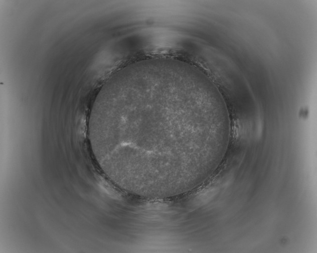 X0000097650820200803142108