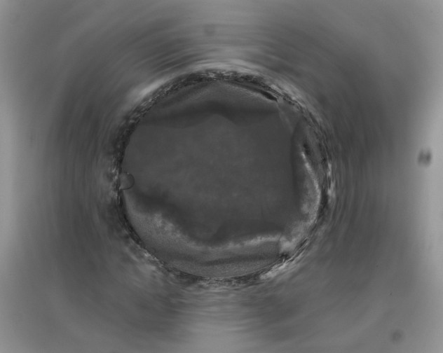 X0000097650822200803142108