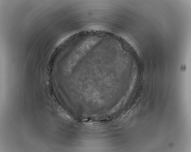 X0000097650823200803142108