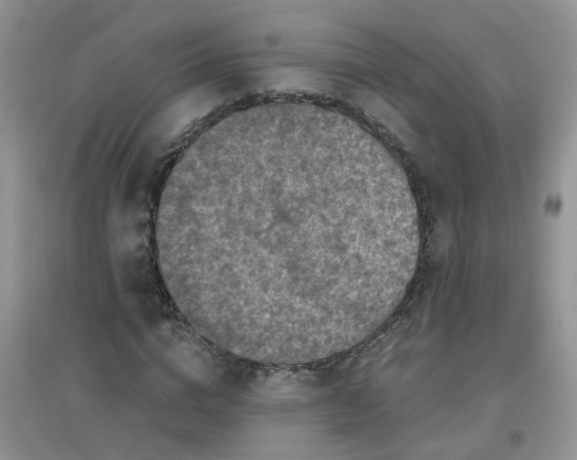 X0000097650824200803142108