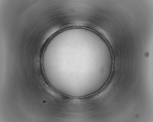 X0000097650827200803142108