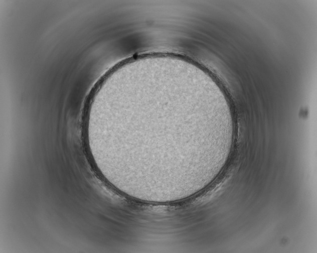 X0000097650828200803142108