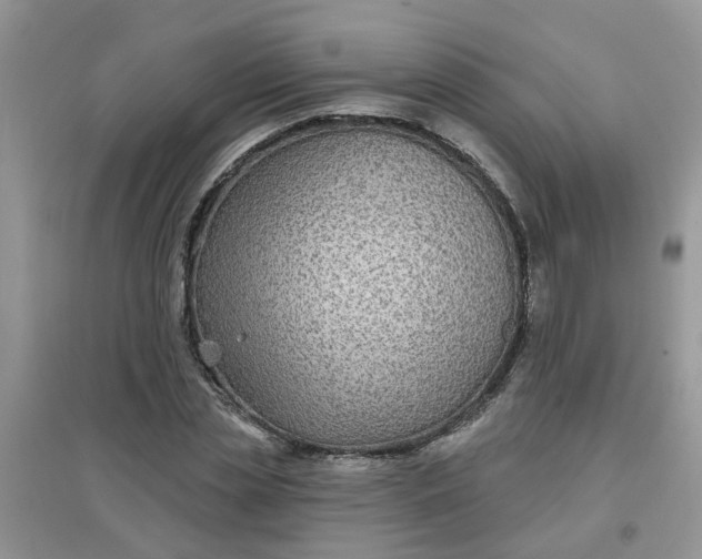 X0000097650829200803142108