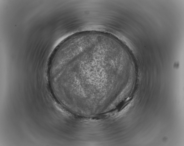 X0000097650830200803142108