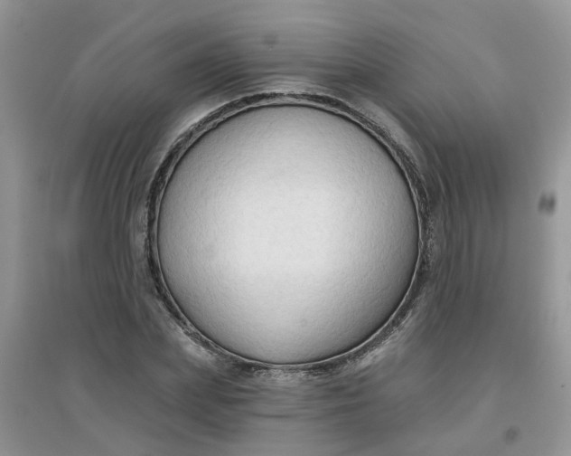 X0000097650831200803142108