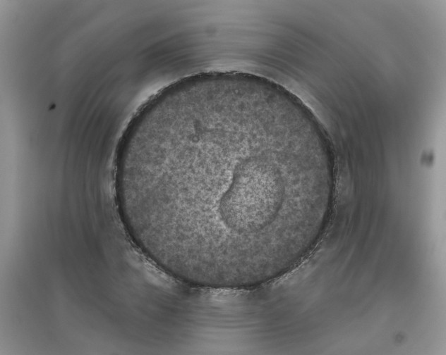 X0000097650832200803142108