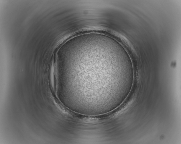 X0000097650833200803142108