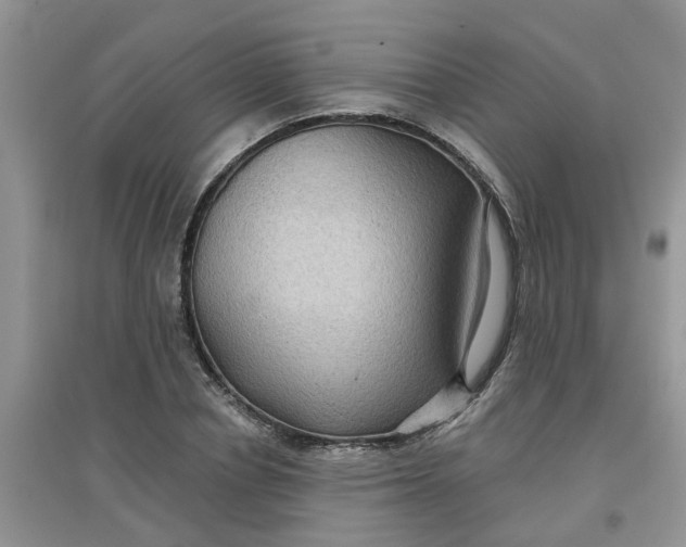 X0000097650834200803142108