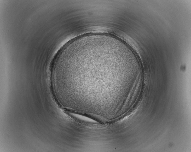 X0000097650835200803142108