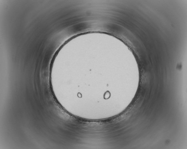 X0000097650836200803142108