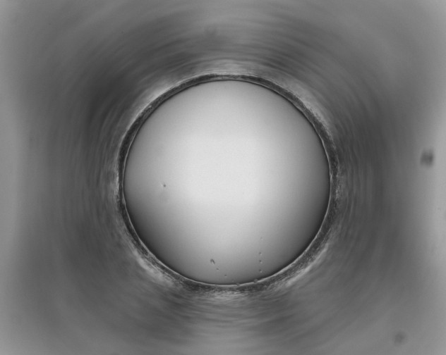 X0000097650837200803142108