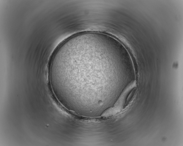 X0000097650838200803142108