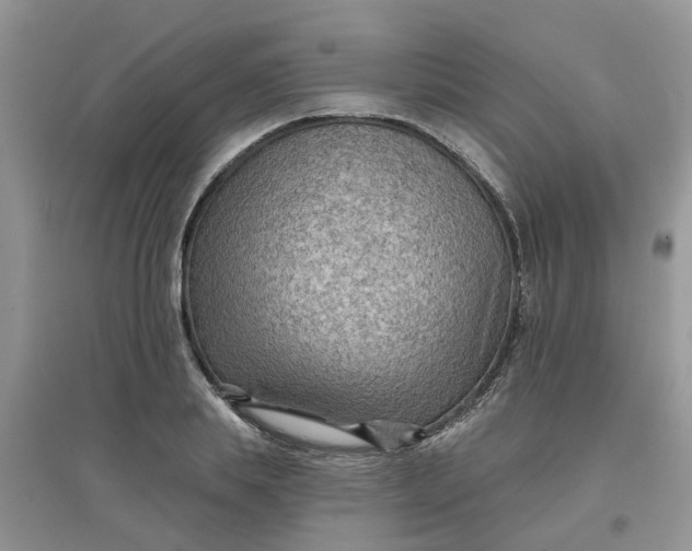 X0000097650839200803142108