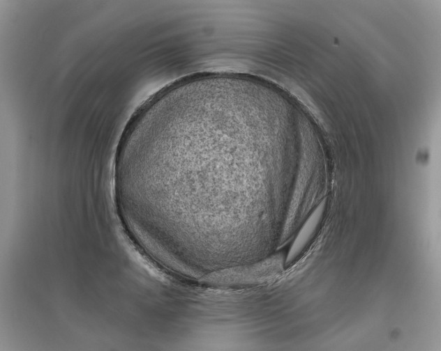 X0000097650840200803142108