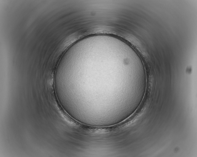 X0000097650841200803142108