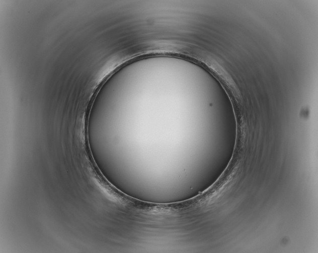 X0000097650842200803142108