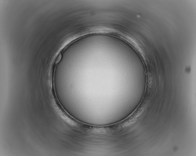 X0000097650843200803142108