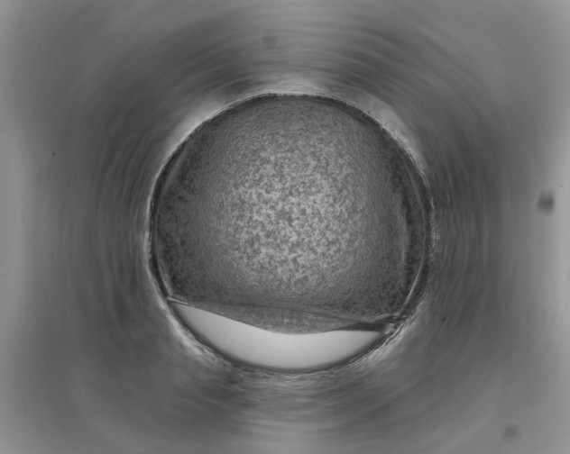 X0000097650845200803142108