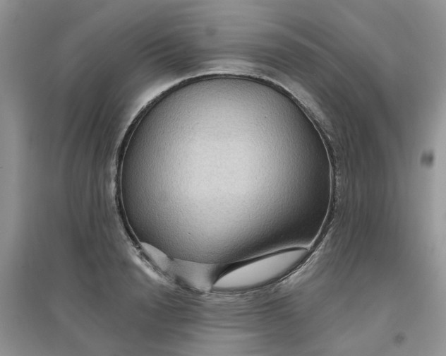 X0000097650846200803142108