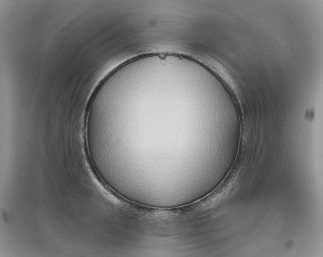 X0000097650847200803142108