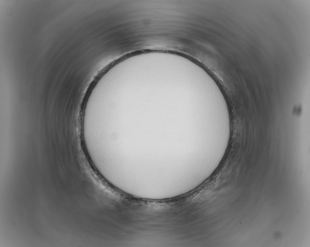 X0000097650848200803142108