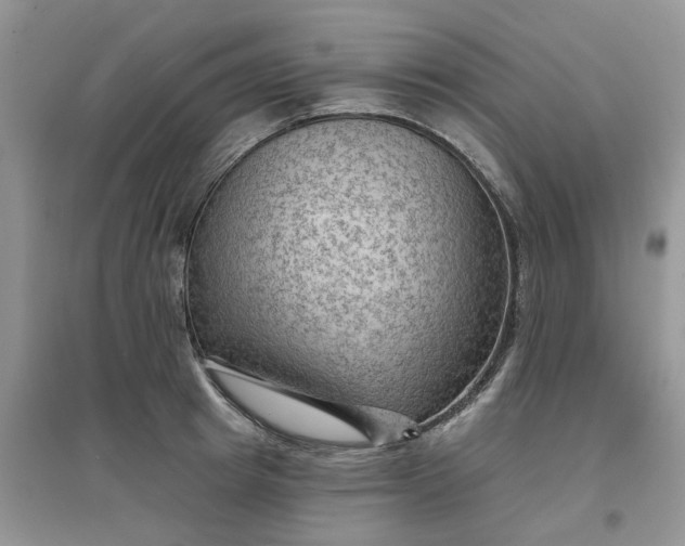 X0000097650849200803142108