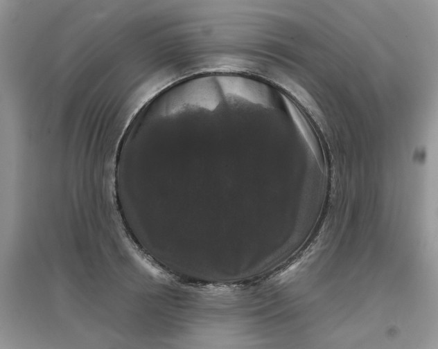 X0000097650850200803142108