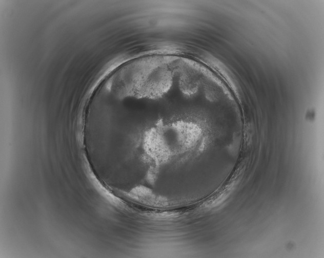 X0000097650851200803142108