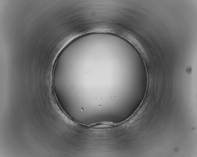 X0000097650852200803142108