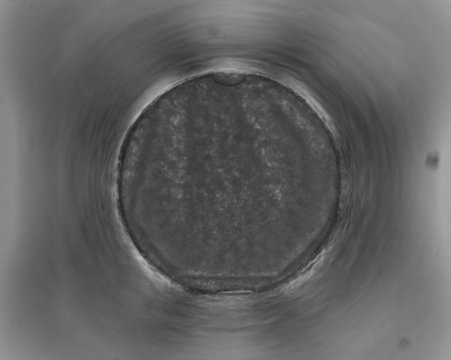 X0000097650853200803142108