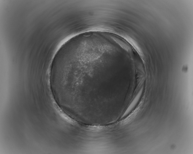 X0000097650854200803142108