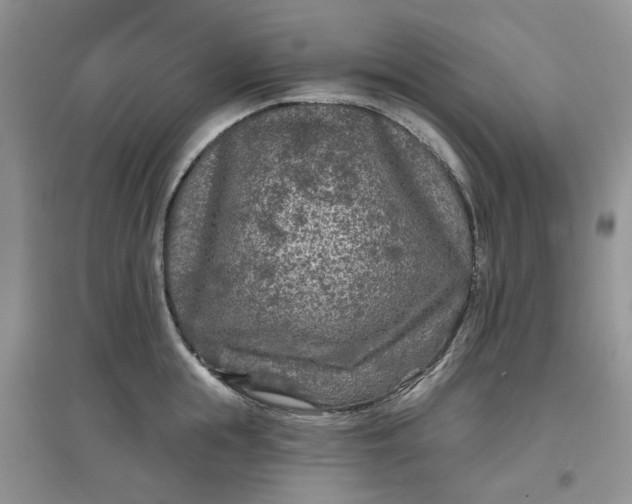 X0000097650855200803142108