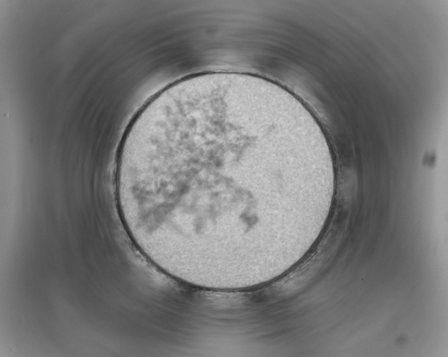 X0000097650856200803142108